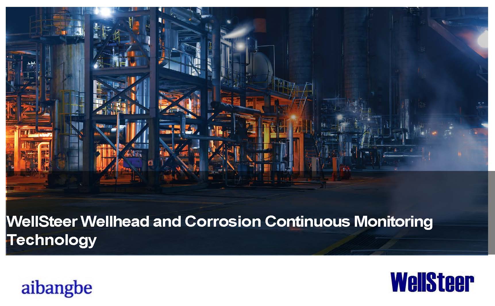 WellSteer Digitalization: Corrosion and Wellhead Continuous Monitoring Technology