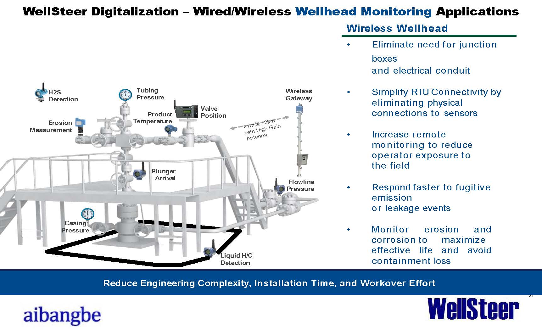 WellSteer Digitalization: Corrosion and Wellhead Continuous Monitoring Technology