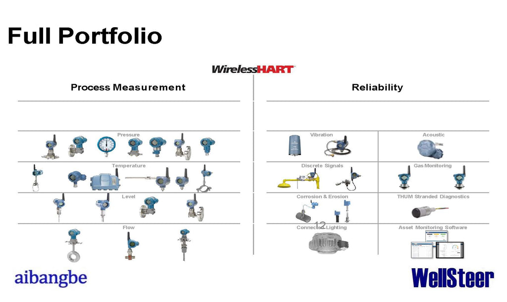 WellSteer Digitalization: Corrosion and Wellhead Continuous Monitoring Technology