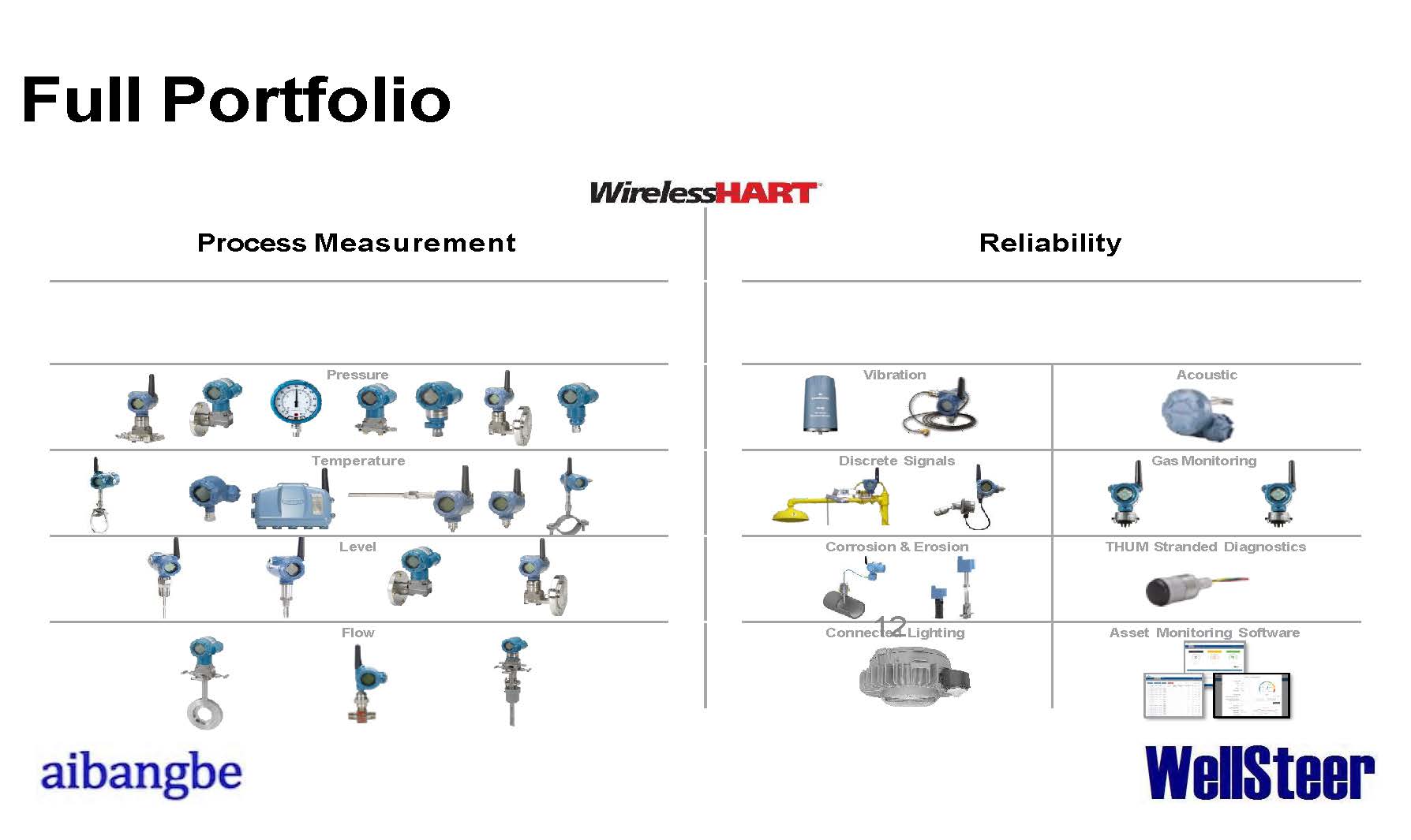 WellSteer Digitalization: Corrosion and Wellhead Continuous Monitoring Technology